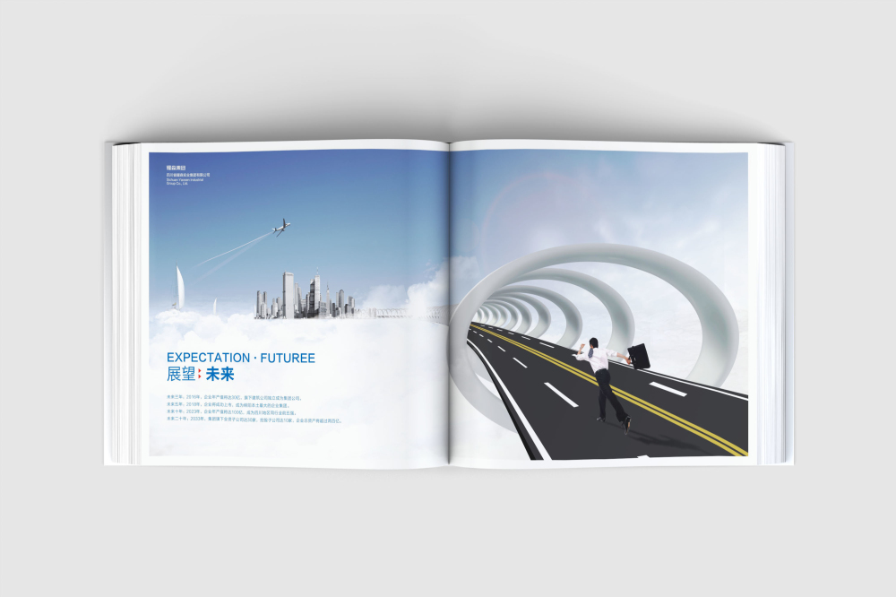 武川县画册设计